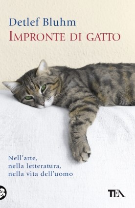 Impronte di gatto