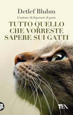 Tutto quello che vorreste sapere sui gatti