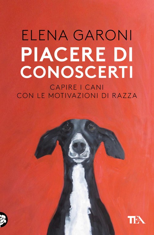 Piacere di conoscerti