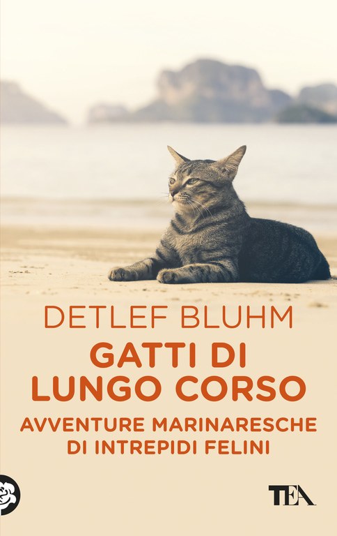 Gatti di lungo corso