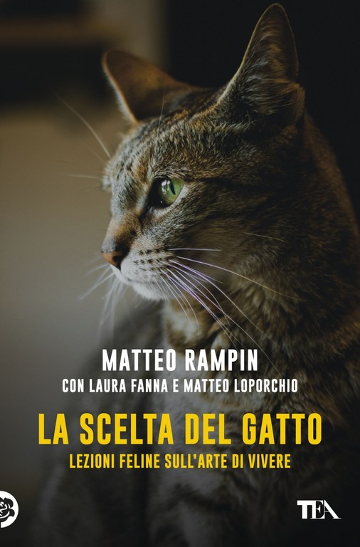 La scelta del gatto