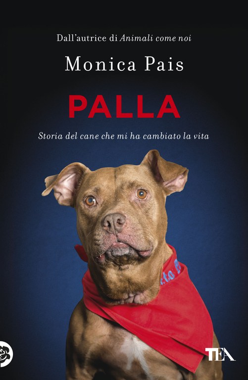 Palla